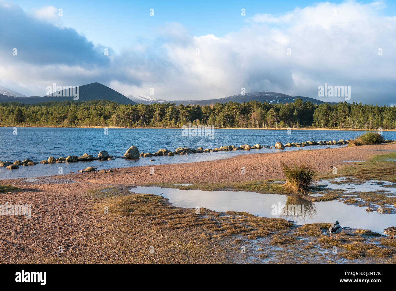 Aviemore town hires stock photography and images Alamy