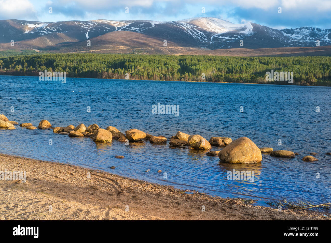 Aviemore highland wildlife park hires stock photography and images Alamy