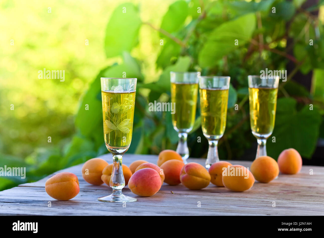 Apricot liqueur and ripe apricots on wooden table in the garden Stock