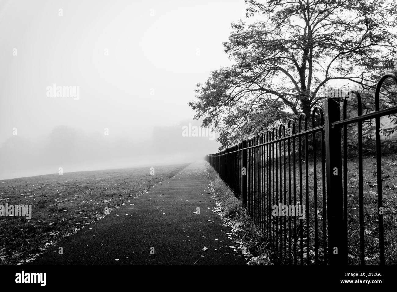Cold london park scenic Black and White Stock Photos & Images - Alamy