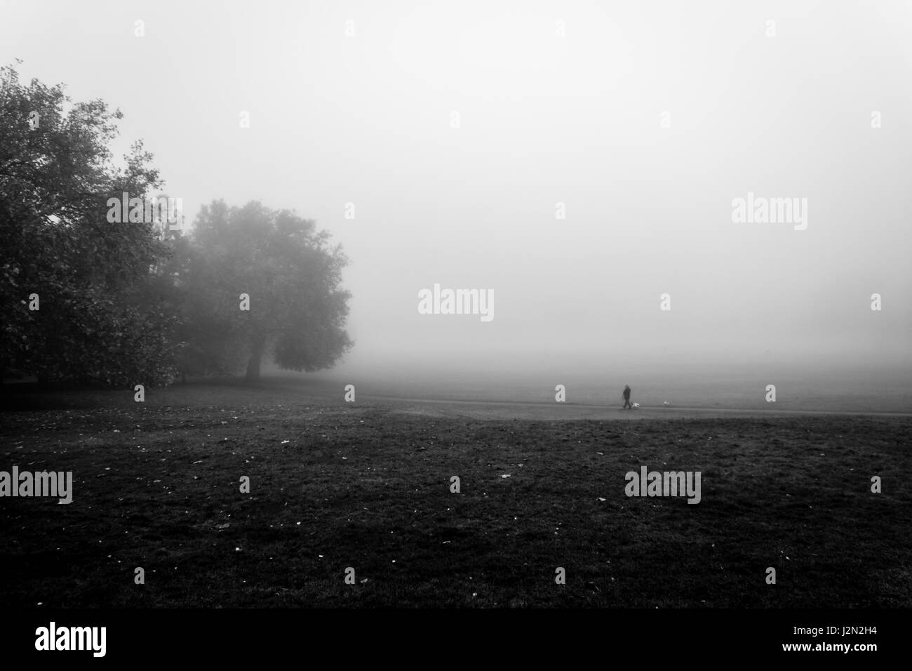 Cold london park scenic Black and White Stock Photos & Images - Alamy