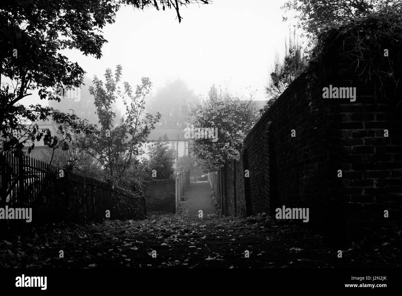 Cold london park scenic Black and White Stock Photos & Images - Alamy