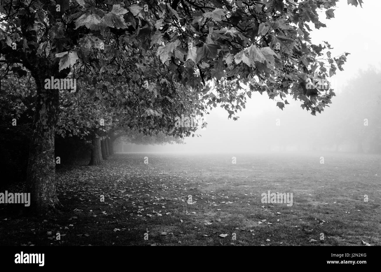 Cold london park scenic Black and White Stock Photos & Images - Alamy