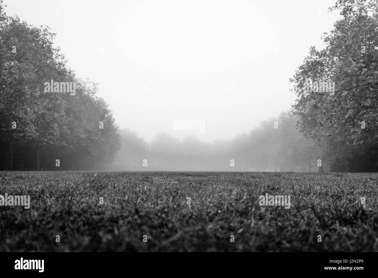 Cold london park scenic Black and White Stock Photos & Images - Alamy