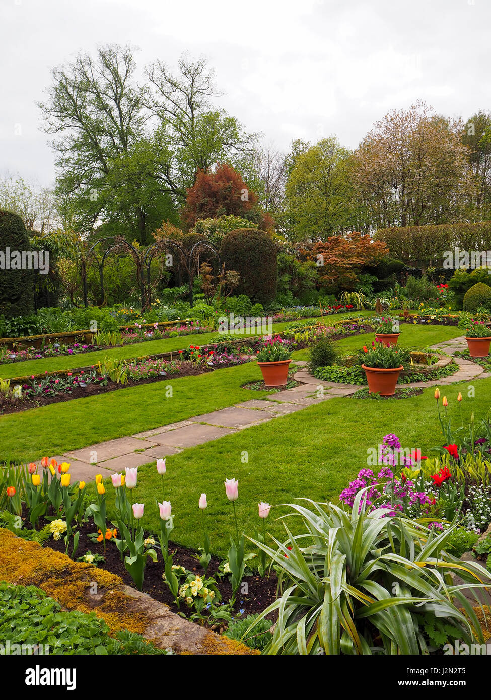 Portrait view of Chenies Sunken garden spring colour. Beautifully designed garden with tulips, lawn, pathways, trees, topiary and ornamental pond.. Stock Photo