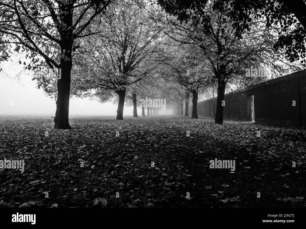 Cold london park scenic Black and White Stock Photos & Images - Alamy