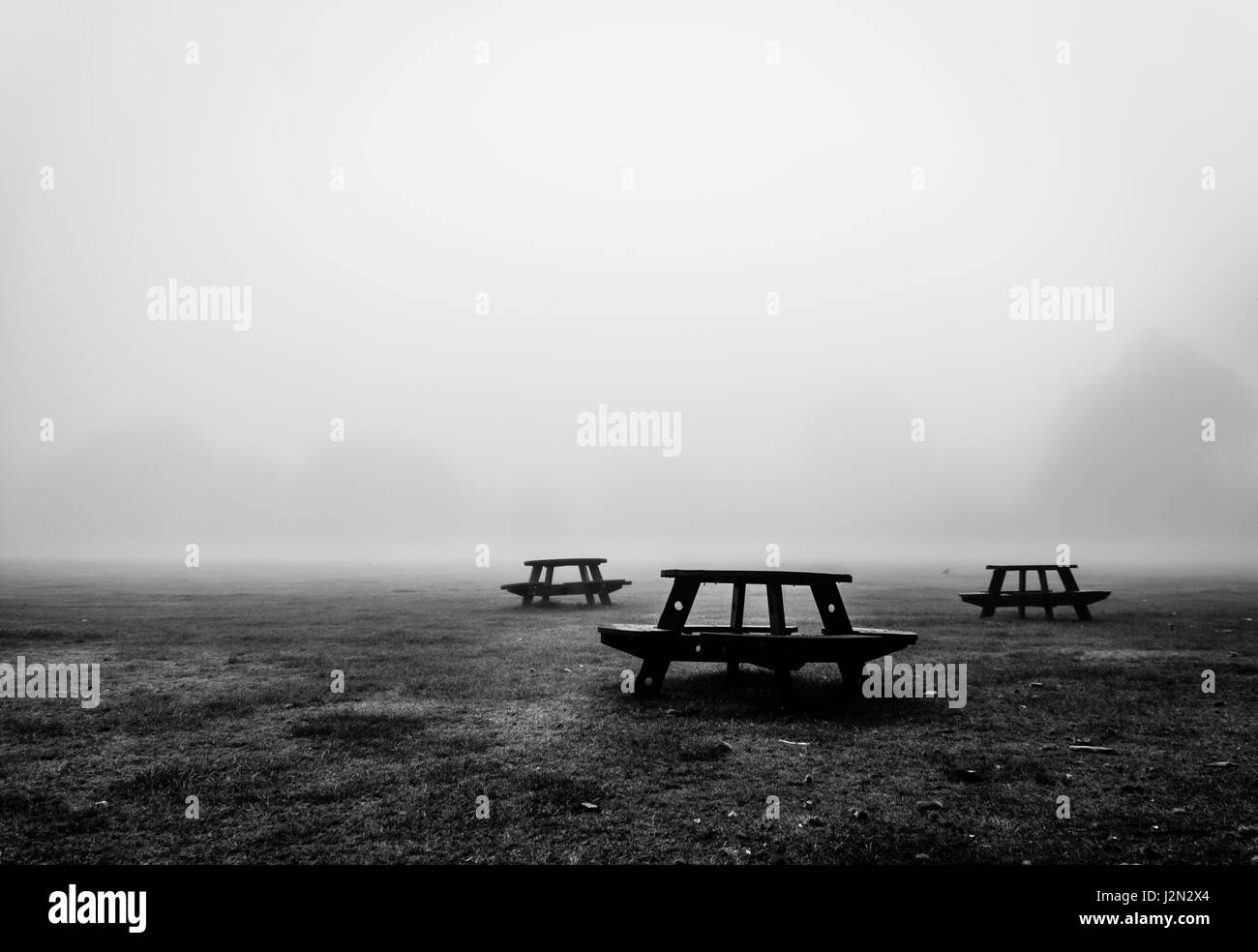 Cold london park scenic Black and White Stock Photos & Images - Alamy
