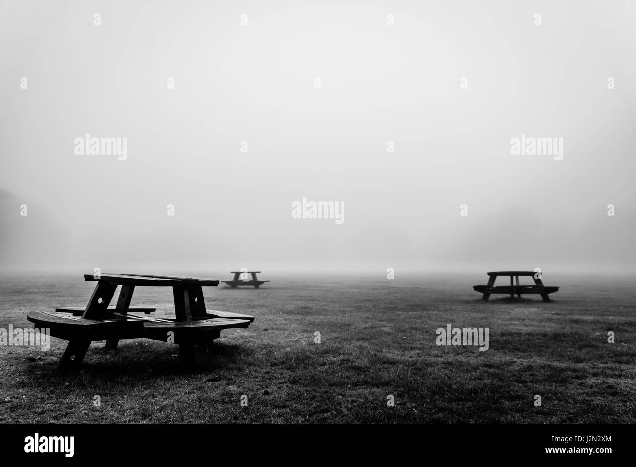 Cold london park scenic Black and White Stock Photos & Images - Alamy