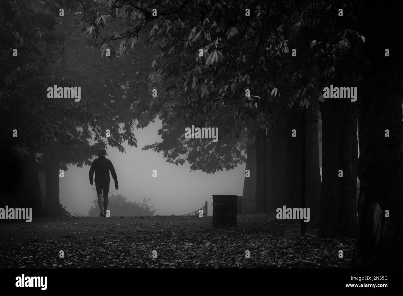 Cold london park scenic Black and White Stock Photos & Images - Alamy