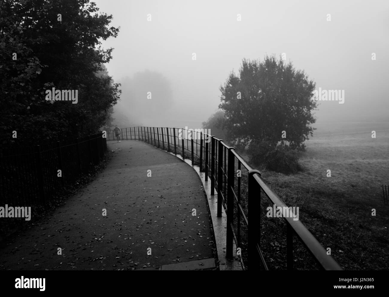 Cold london park scenic Black and White Stock Photos & Images - Alamy