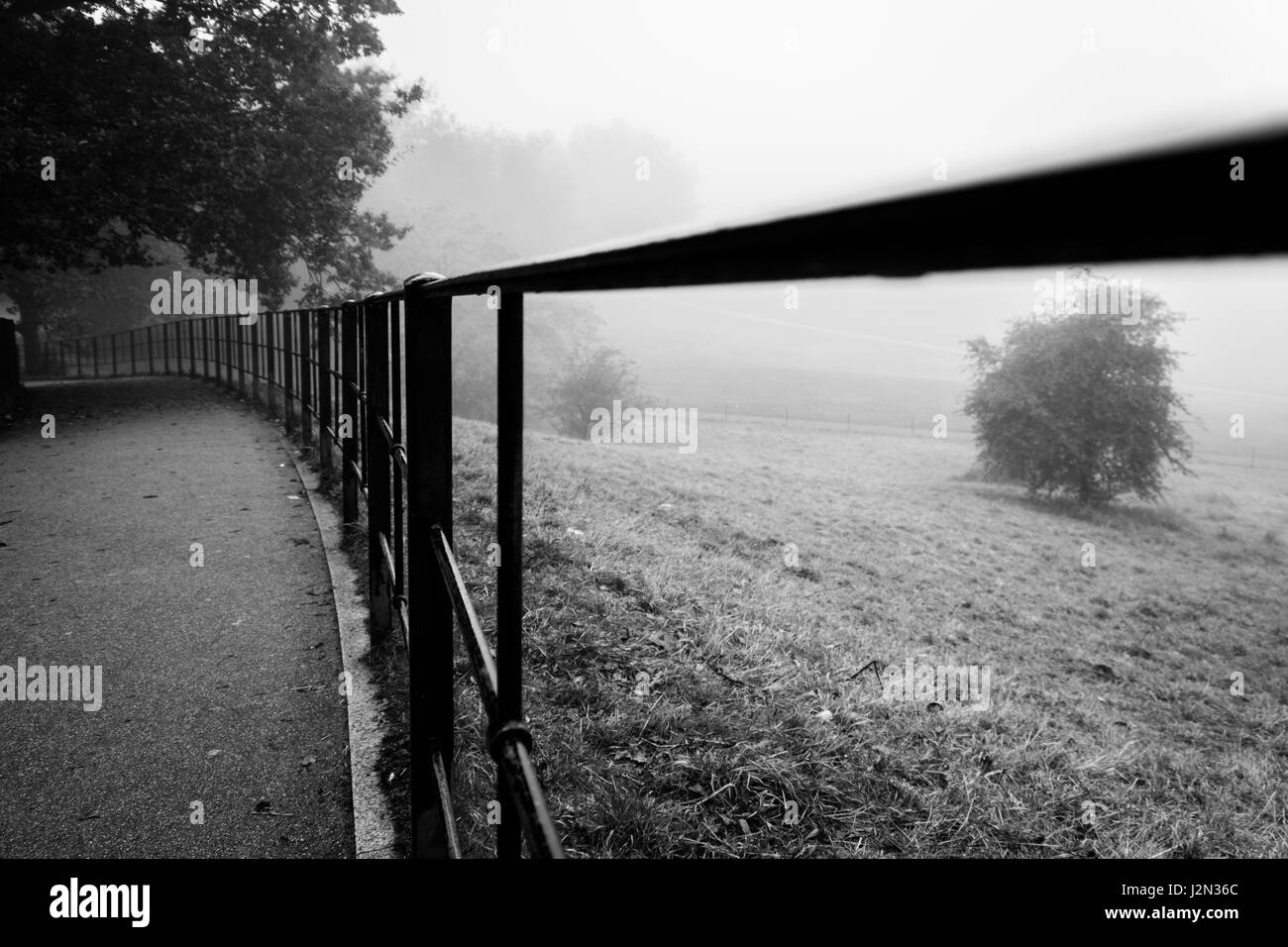 Cold london park scenic Black and White Stock Photos & Images - Alamy