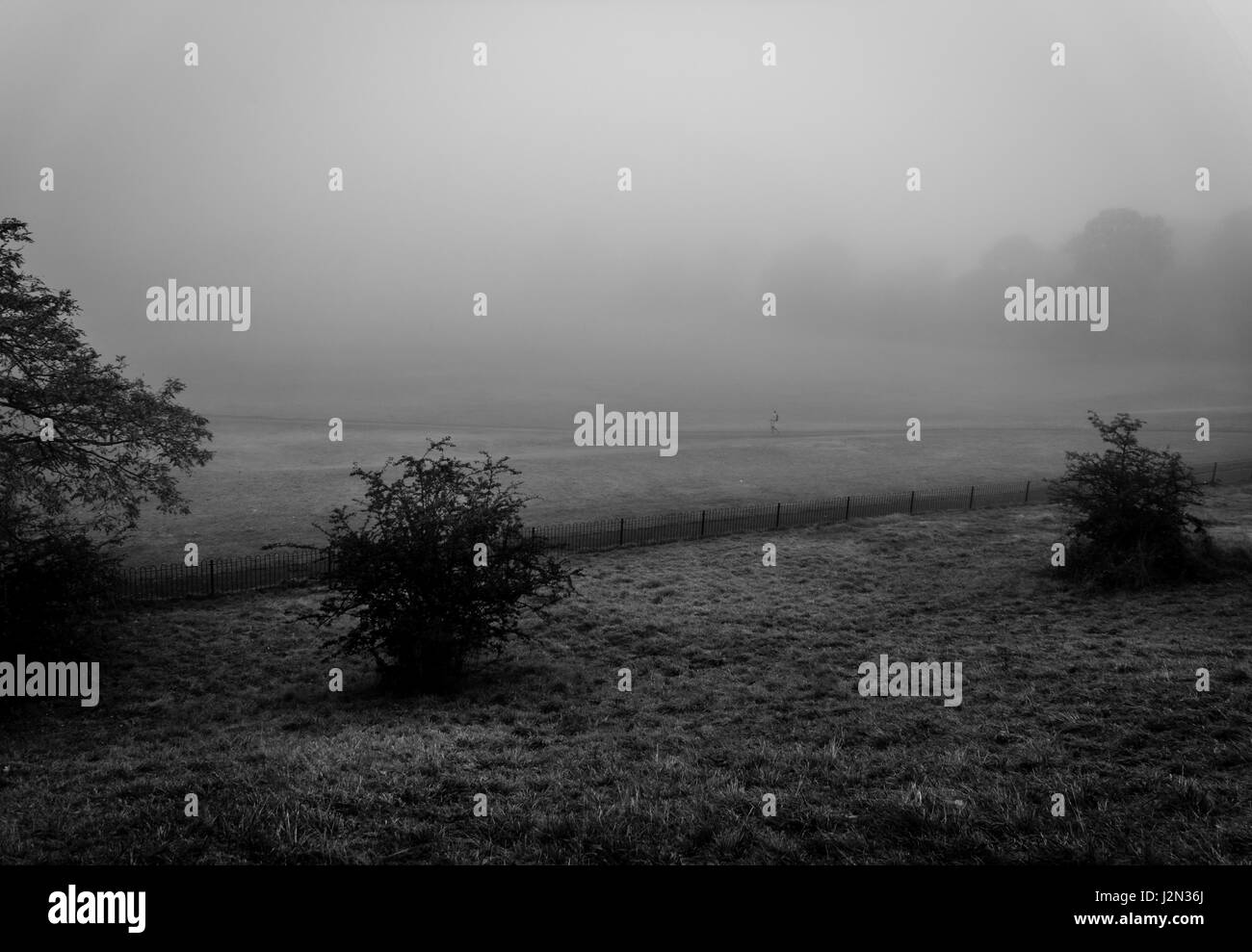 Cold london park scenic Black and White Stock Photos & Images - Alamy