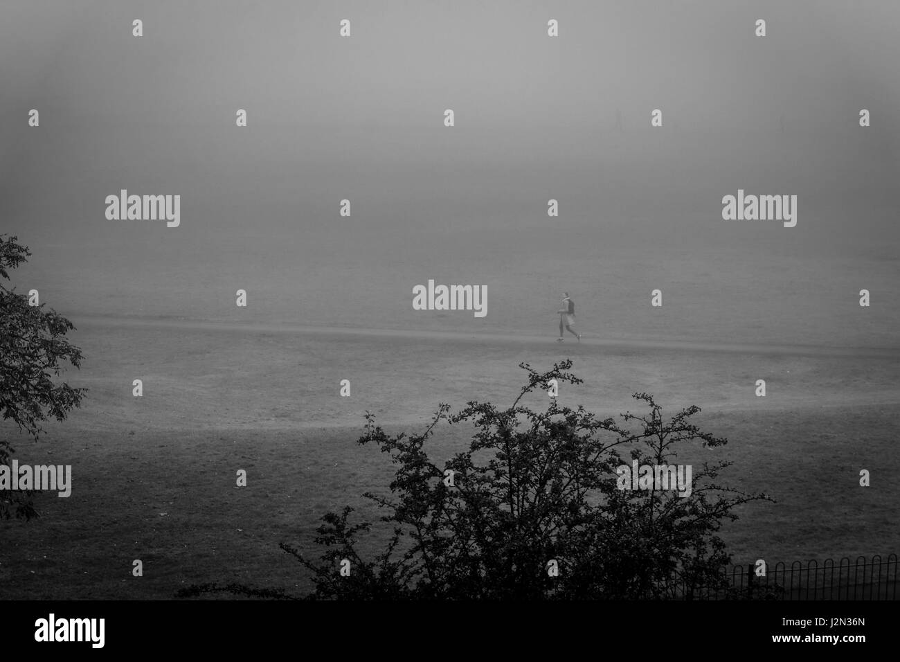 Cold london park scenic Black and White Stock Photos & Images - Alamy