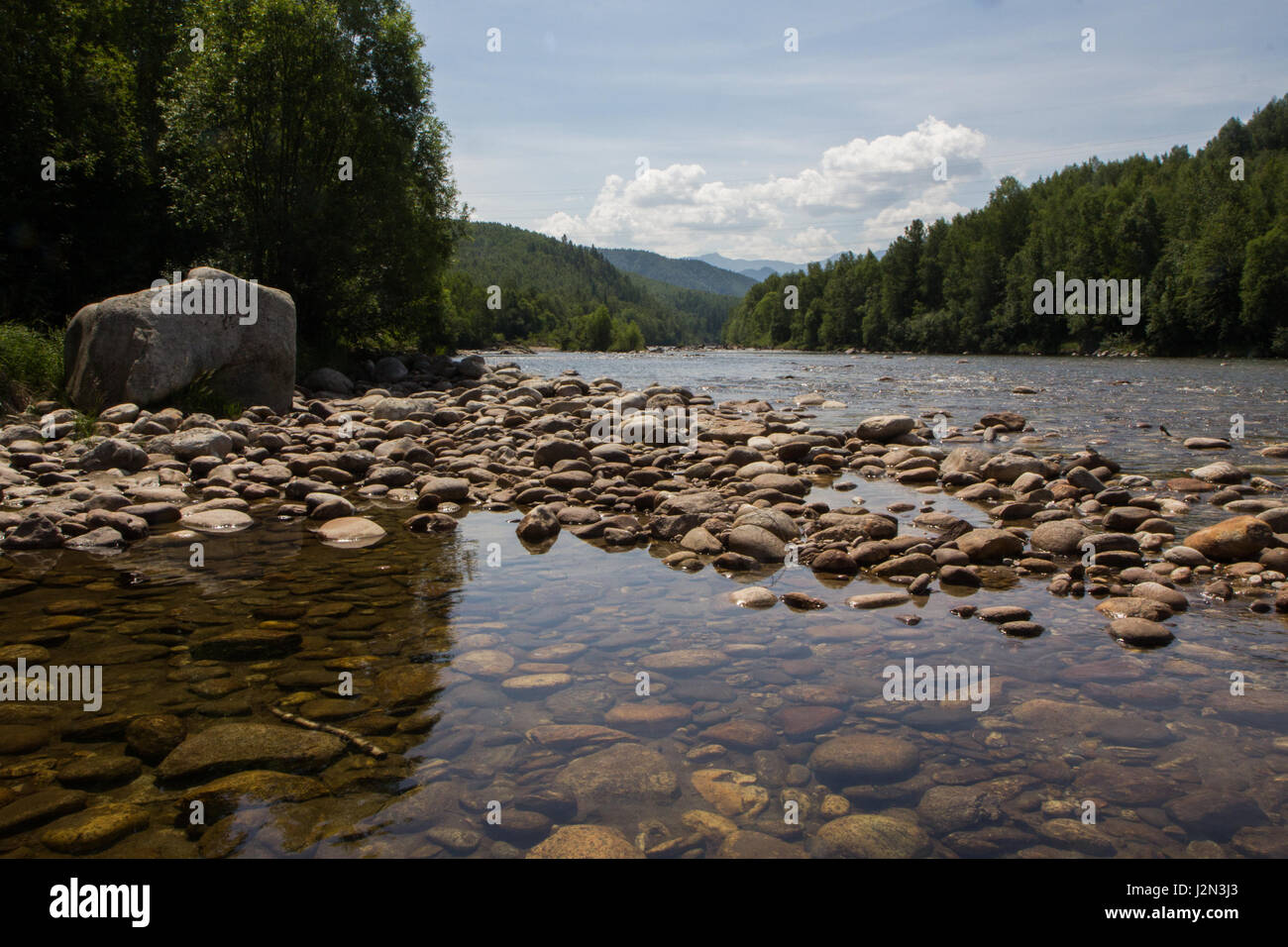 Shallow river in the wild forest Stock Photo