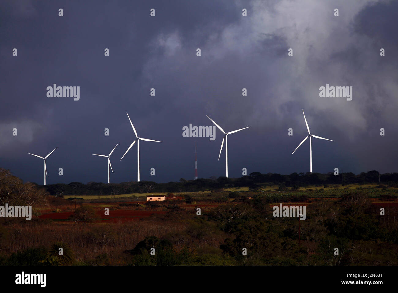 Wind Turbines on the north shore of Oahu, Hawaii Stock Photo Alamy
