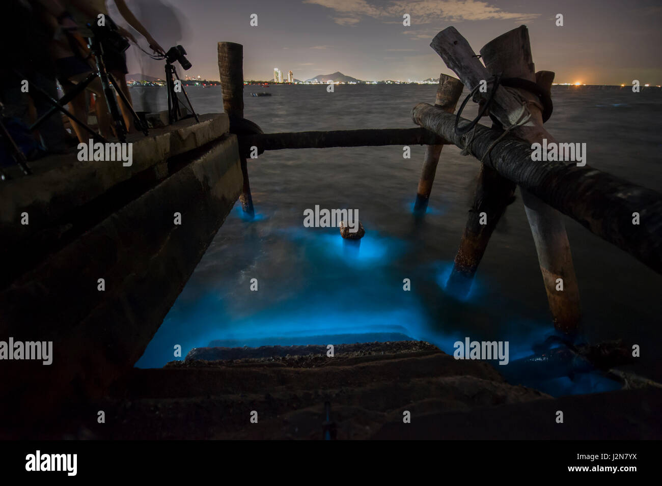 Marine Plankton glow in the dark in Thailand, bioluminescence Stock Photo