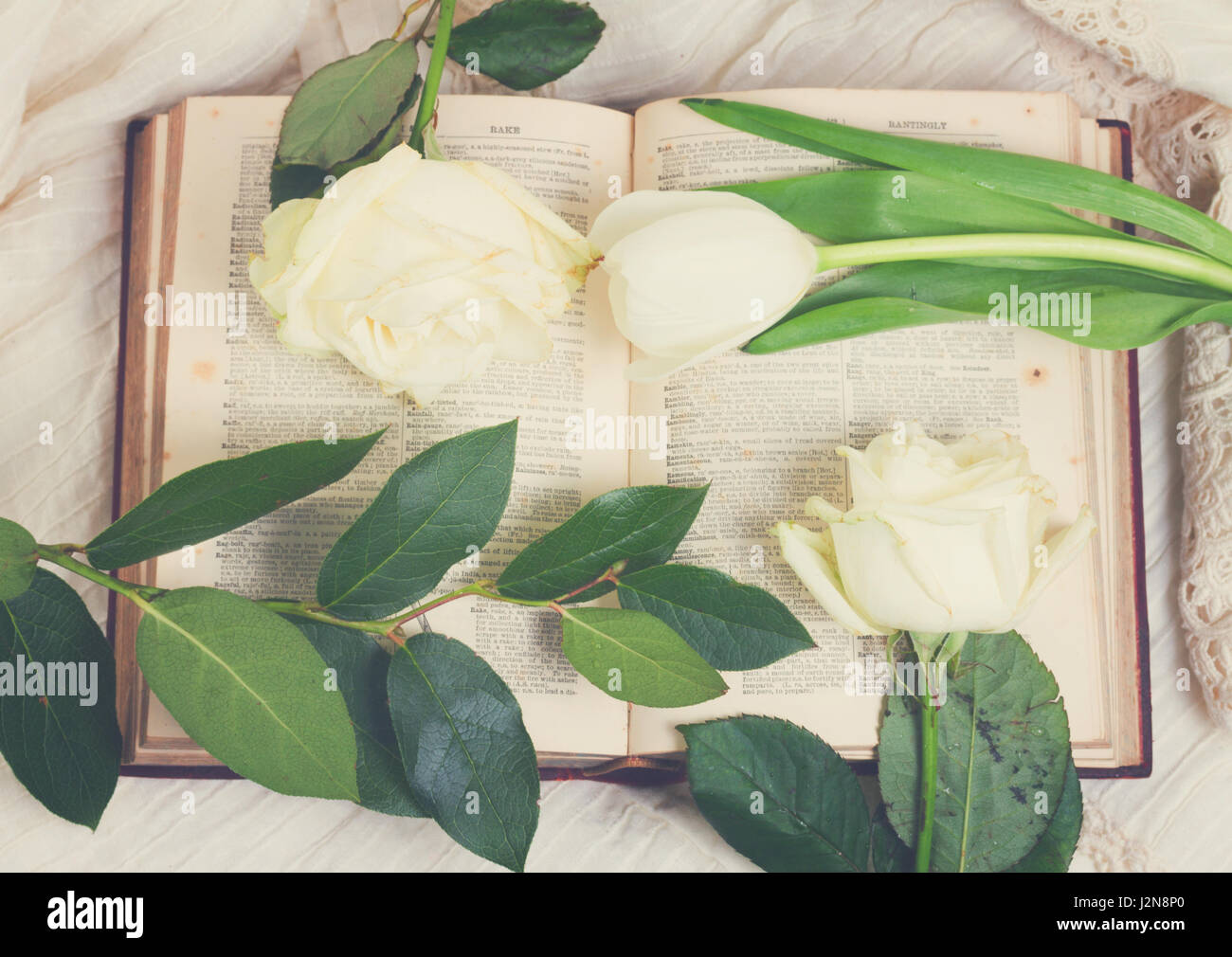 open empty XIXc vintage dictionary book with old handwritten letters and fresh flowers, retro toned Stock Photo