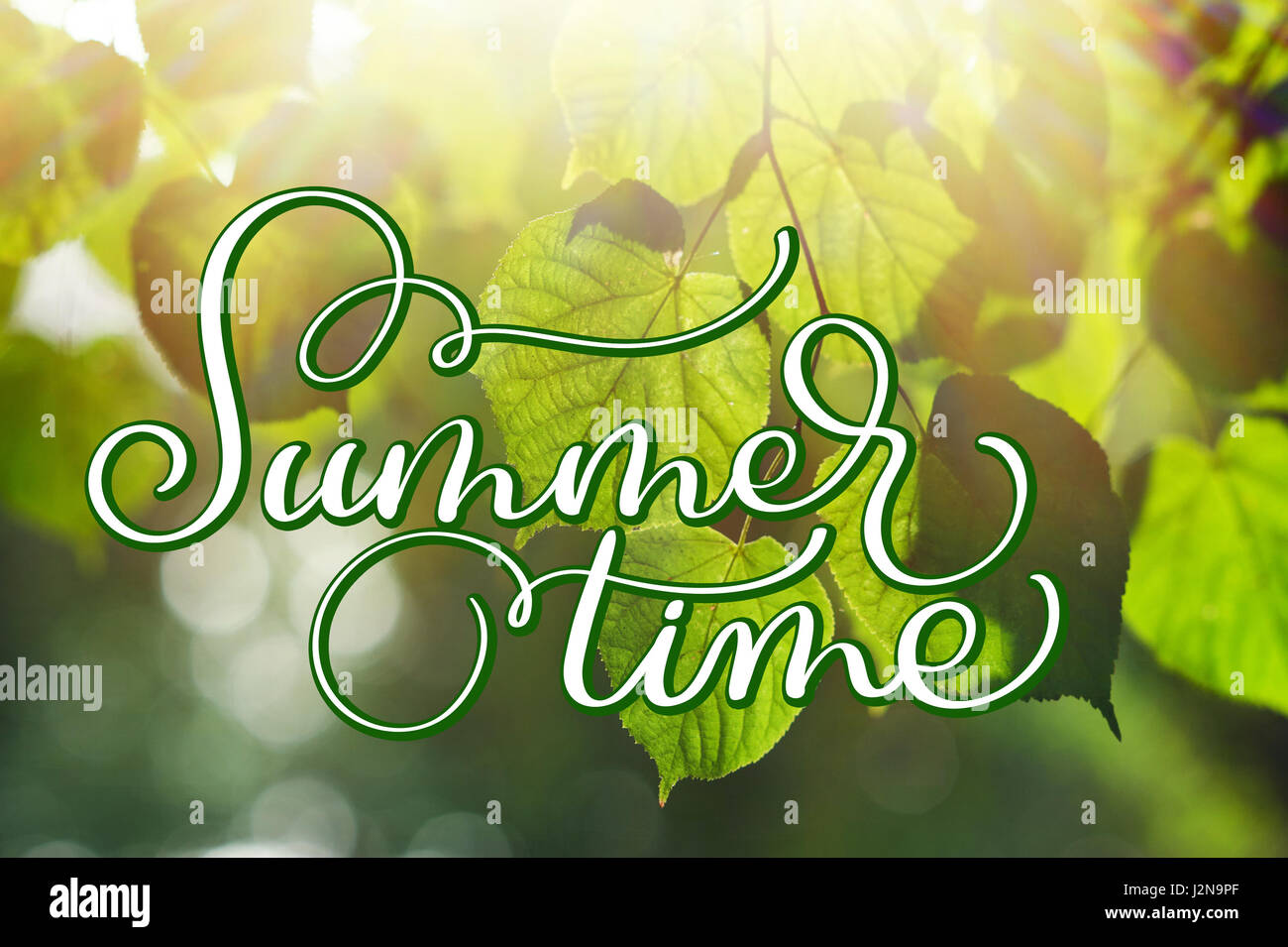 texture green leaves in summer park with sun background and text Summer time. Calligraphy lettering hand draw Stock Photo
