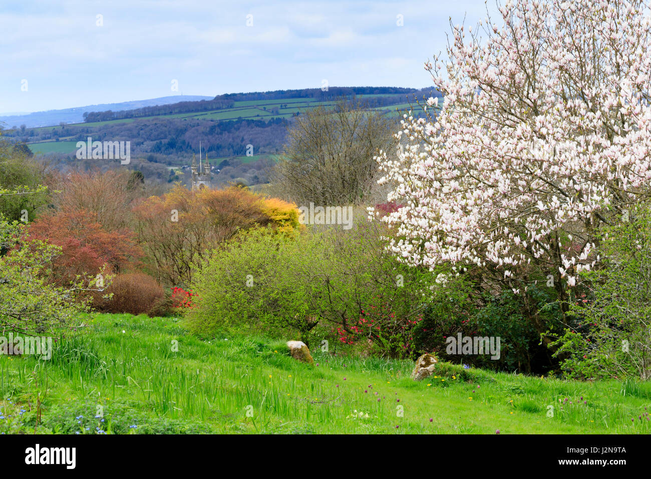 View across The Garden House wildflower meadow towards Buckland Monachorum Church tower and Dartmoor Stock Photo