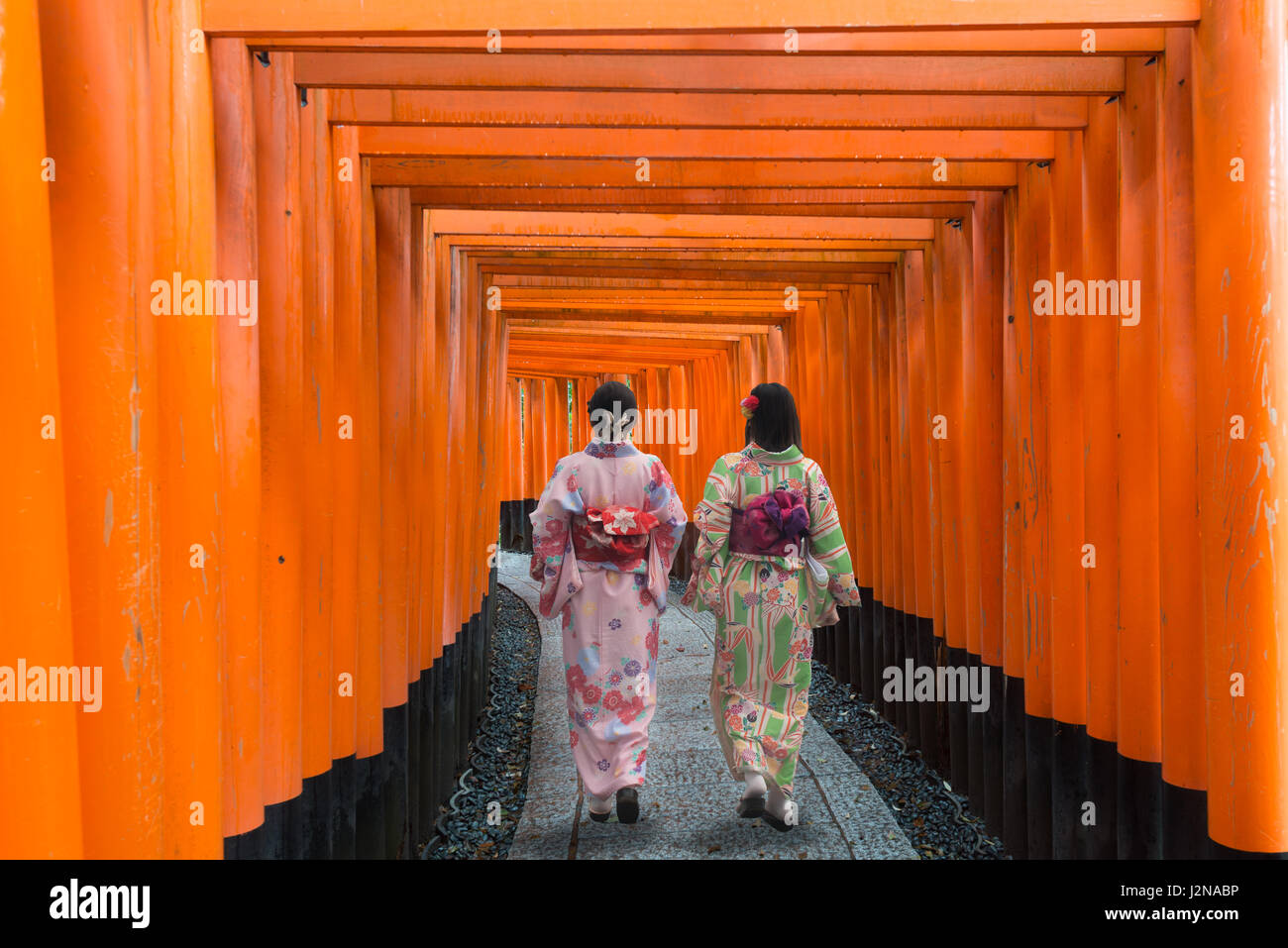 Two geishas among red wooden Tori Gate at Fushimi Inari Shrine in Kyoto, Japan. Women wearing traditional japanese kimono in Kyoto, Japan. Stock Photo