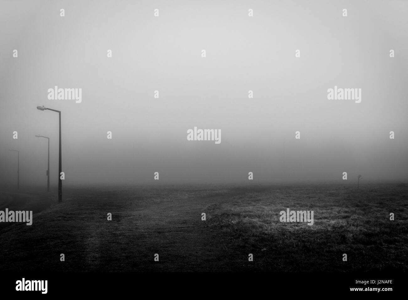 Cold london park scenic Black and White Stock Photos & Images - Alamy