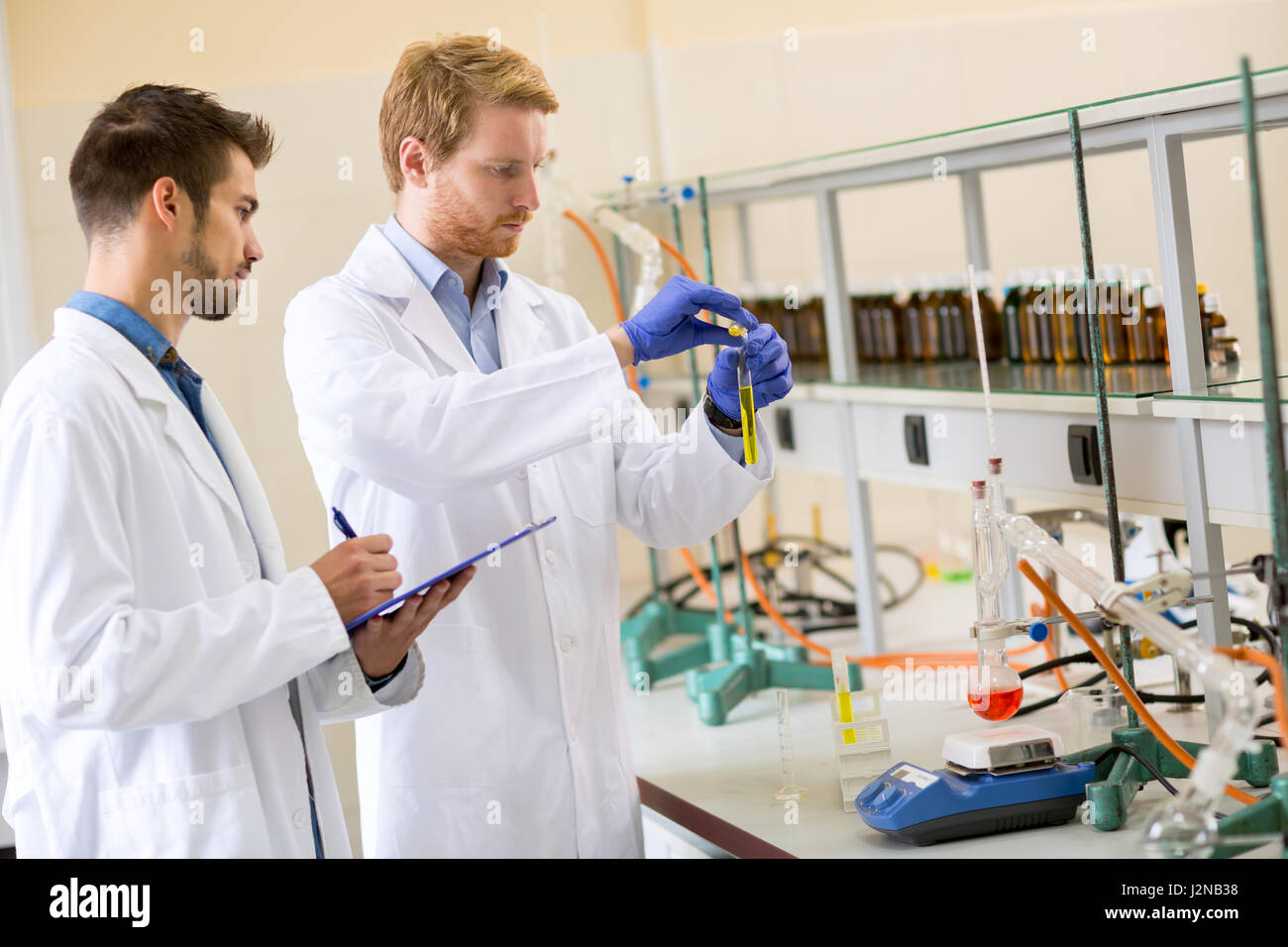 Two colleagues working on experiment in lab Stock Photo - Alamy
