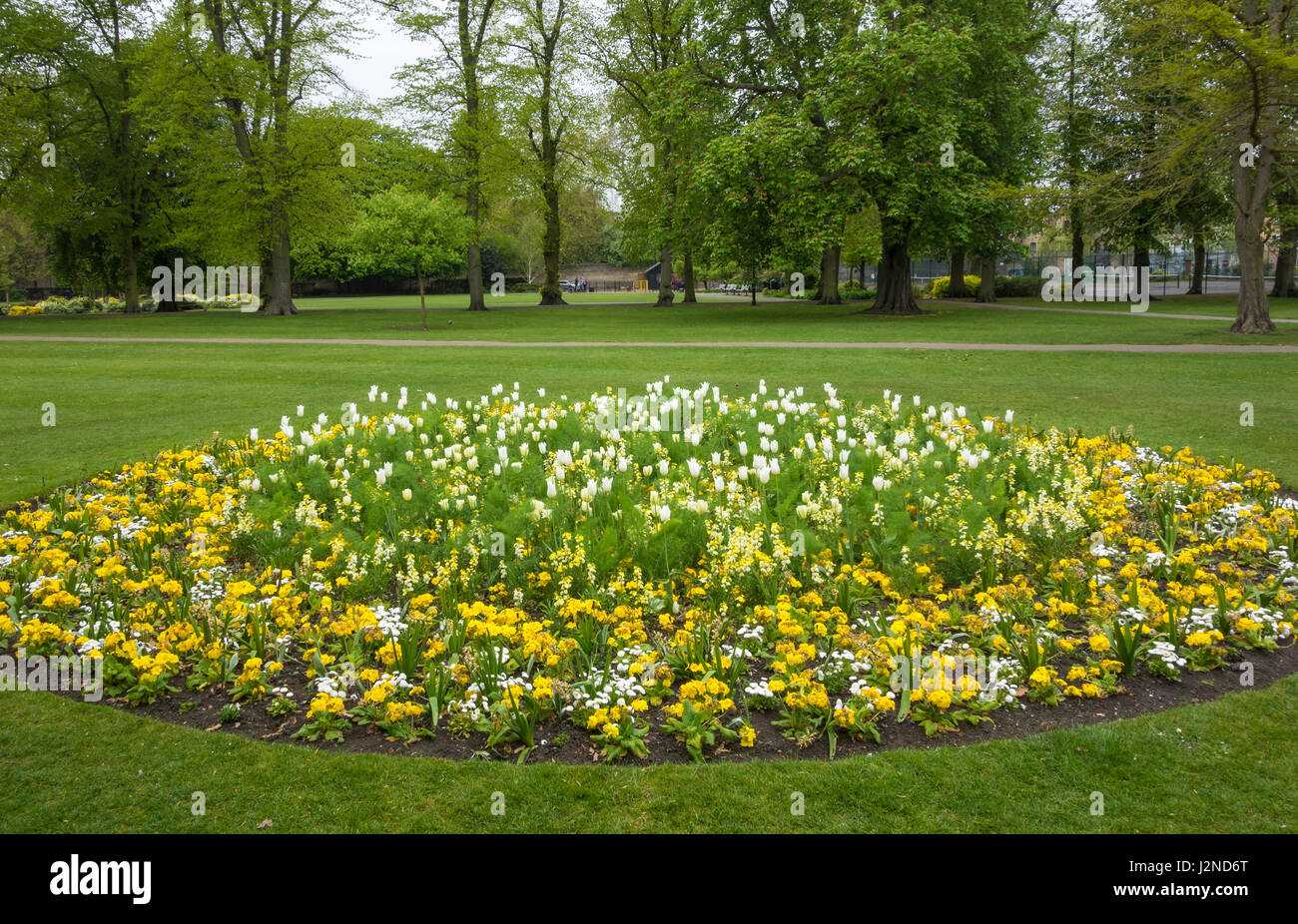 Flower bed with spring flowers Parkers Piece Cambridge Stock Photo Alamy