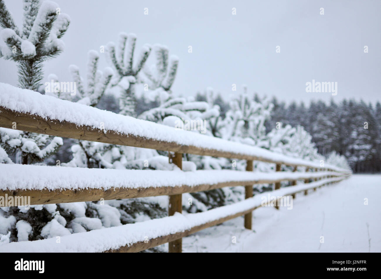 Winter landscape with snowy forest and a wooden fence Stock Photo - Alamy