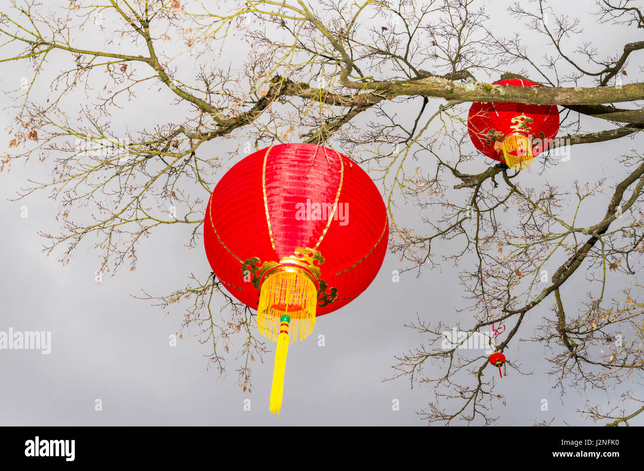 Red lanterns at Chinese New Year Celebration, Dr Sun-Yat Sen Classical Garden, Chinatown, Vancouver, British Columbia, Canada Stock Photo