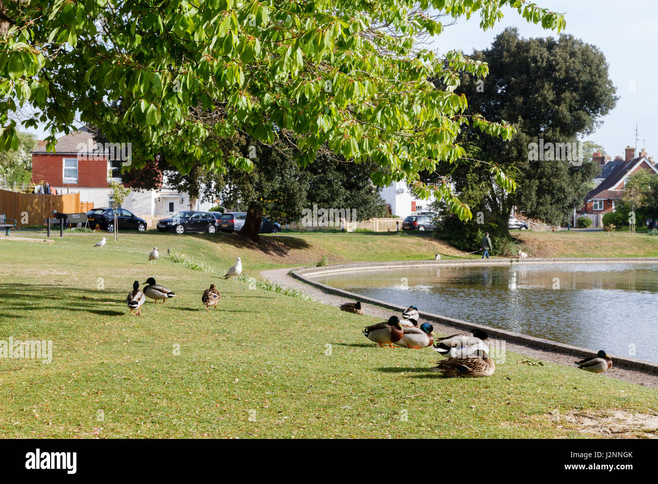 Hailsham East Sussex High Resolution Stock Photography and Images Alamy