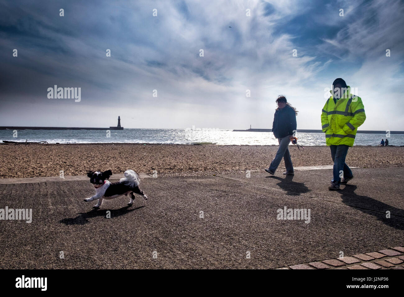 Sunderland, 30th April 2017. It was a bright but windy start to the day in Roker, Sunderland, as dog walkers braved the conditions on the sea front. (c) Paul Swinney/Alamy Live News Stock Photo