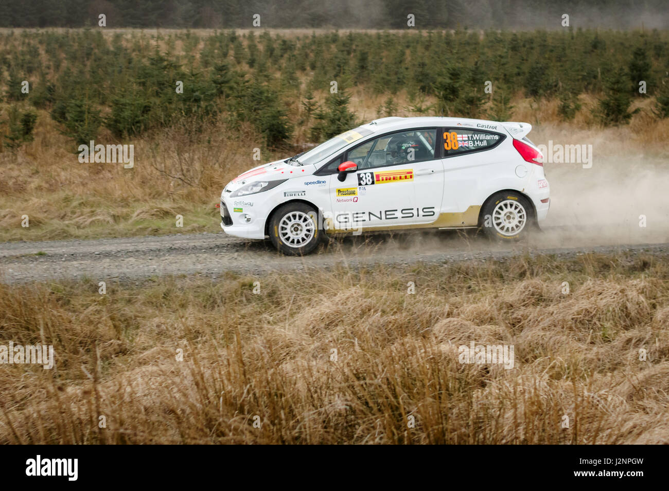 Wark, UK - 29th April, 2017: Rally car taking part in the Pirelli International Rally 2017 (BRC Section).  Driver Tom Williams and Co-Driver Bryan Hullin a Ford Fiesta.  Credit: ColobusYeti/Alamy Live News. Stock Photo