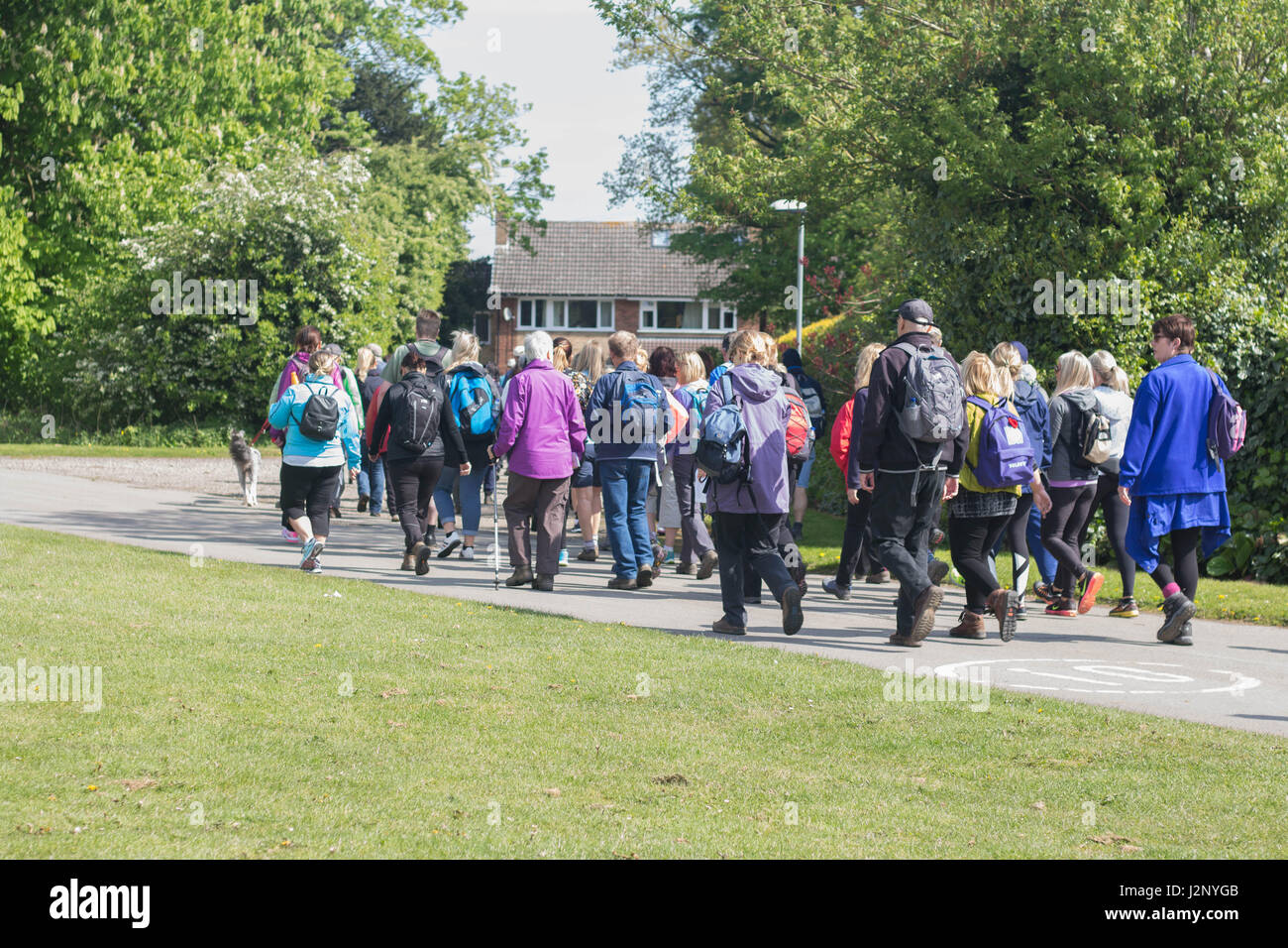 Cottingham, UK. 30th Apr, 2017. Dove House Sponsored Walk - raising money to support Dove House Hospice, a charity caring for terminally ill patients. Credit: Matthew Appleyard/Alamy Live News Stock Photo