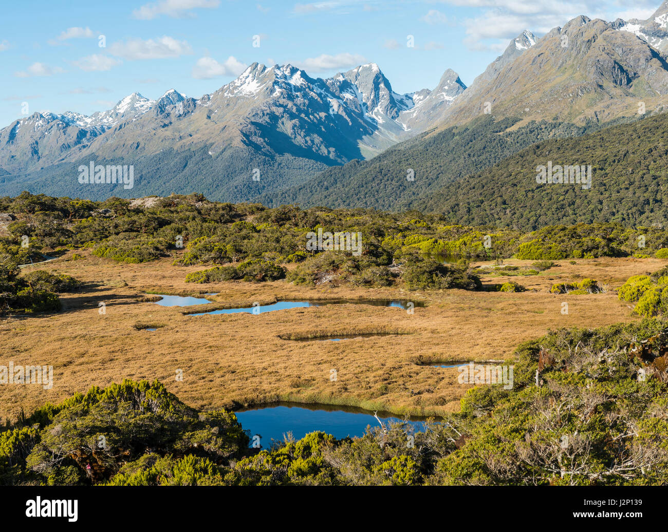 View of Little Mountain Lake and Ailsa Mountains, Key Summit Track, Fiordland National Park, Southland Region, New Zealand Stock Photo