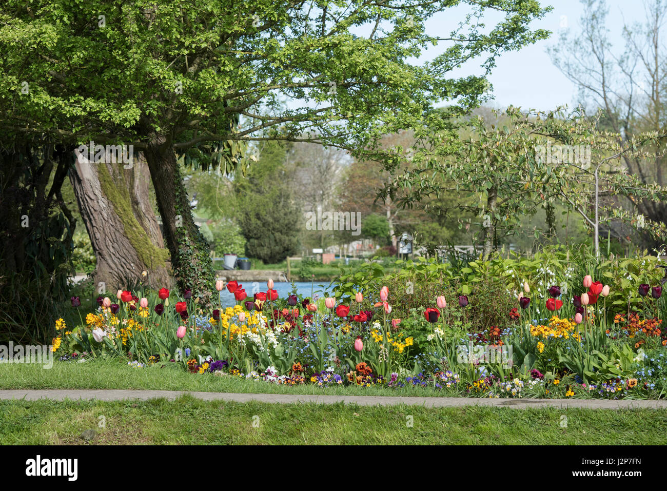 Colourful flowerbed on the edges of Bibury Trout Farm. Bibury