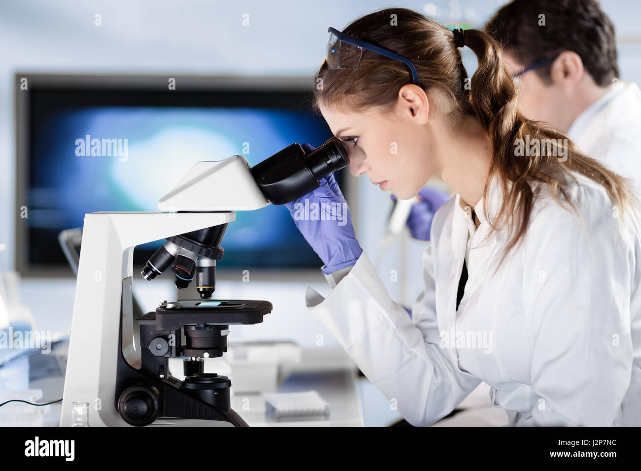Life scientist researching in the laboratory Stock Photo Alamy
