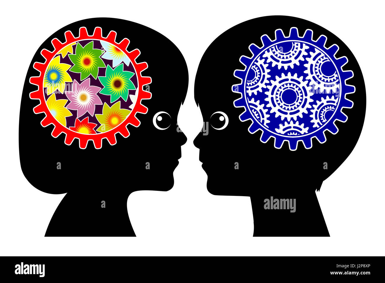 Male and female brains differ by birth Stock Photo - Alamy
