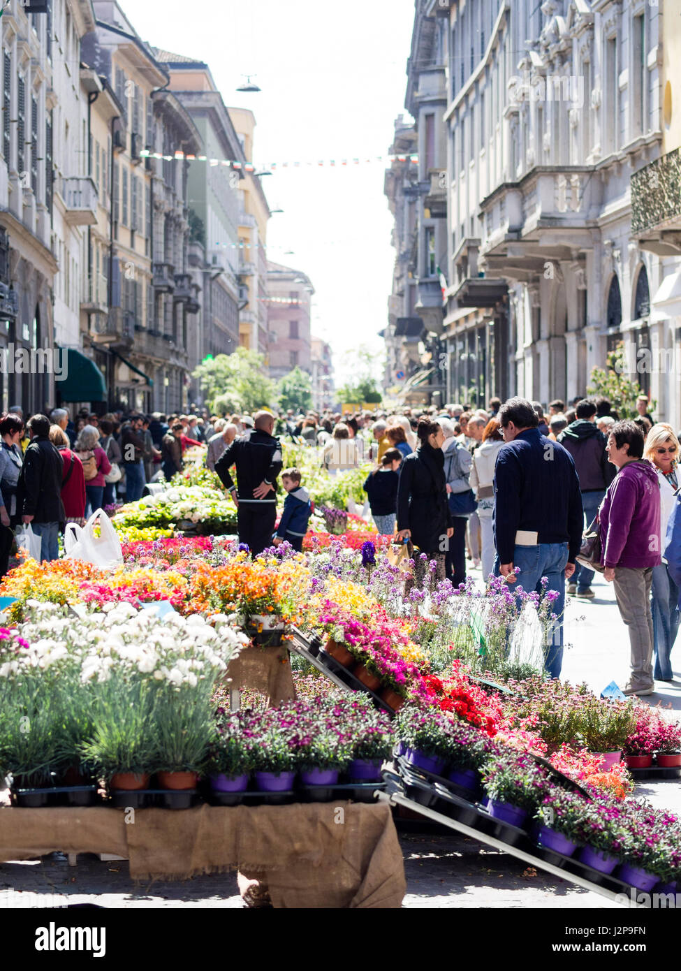Botanic Invasions event - street flower and plants open market - Cremona, Italy Spring 30th April 2017 Stock Photo