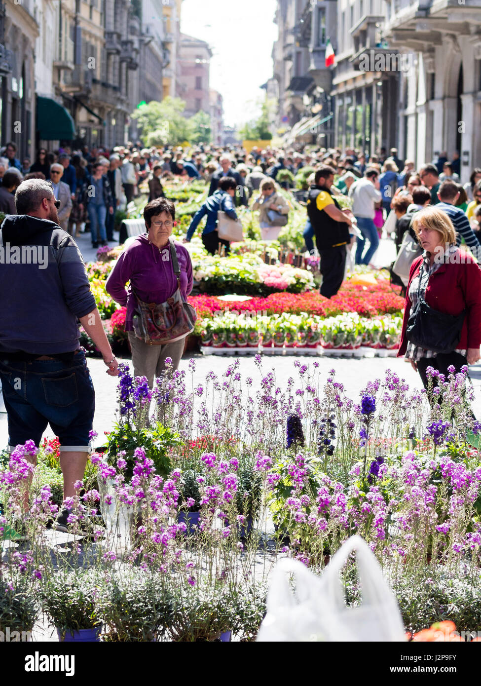 Crowded Botanic Invasions event - street flower and plants open market - Cremona, Italy Spring 30th April 2017 Stock Photo