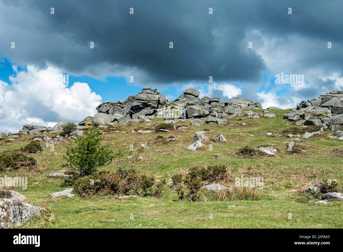 Bonehill Rocks above Widecombe in the Moor on Dartmoor Devon Stock Photo
