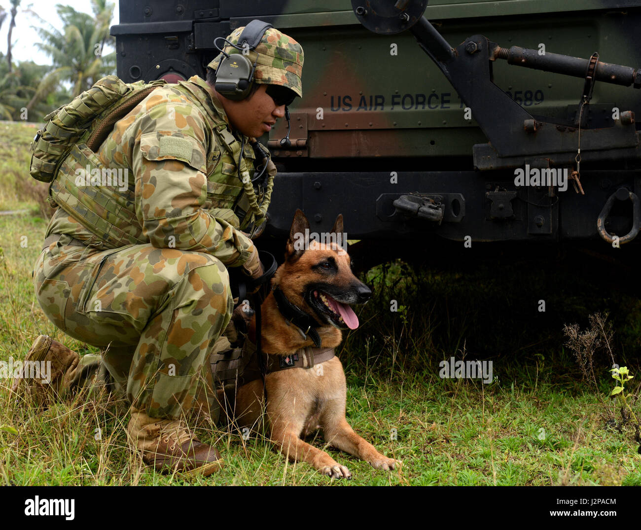 A Royal Australian Air Force dog handler works with his dog during a COPE NORTH exercise Feb. 13, 2017, at Andersen Air Force Base, Guam. This exercise helps cultivate common bonds and foster good will between U.S. and the international community through training. (U.S. Air Force photo by Airman 1st Class Gerald R. Willis) Stock Photo