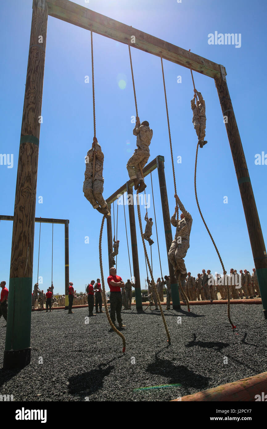 Recruits from Delta Company, 1st Recruit Training Battalion, climb ropes during Obstacle Course II at Marine Corps Recruit Depot San Diego, April 20. This was the first opportunity for recruits to climb the ropes, which serves as the last obstacle in the course. Annually, more than 17,000 males recruited from the Western Recruiting Region are trained at MCRD San Diego. Delta Company is scheduled to graduate June 30. Stock Photo