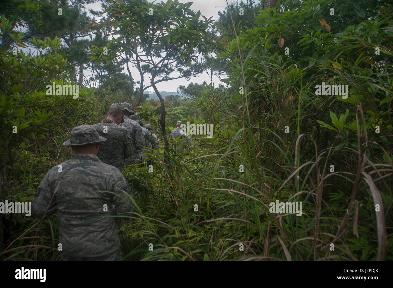 U.S. Air Force Airmen assigned to the 18th Medical Group navigate a jungle as part of the Preventative Aerospace Medicine Convention April 21, 2017, at Kadena Air Base, Japan. Correctly and safely navigating potentially dangerous terrain was one of the focal points of the PAMACON. (U.S. Air Force photo by Airman 1st Class Quay Drawdy) Stock Photo