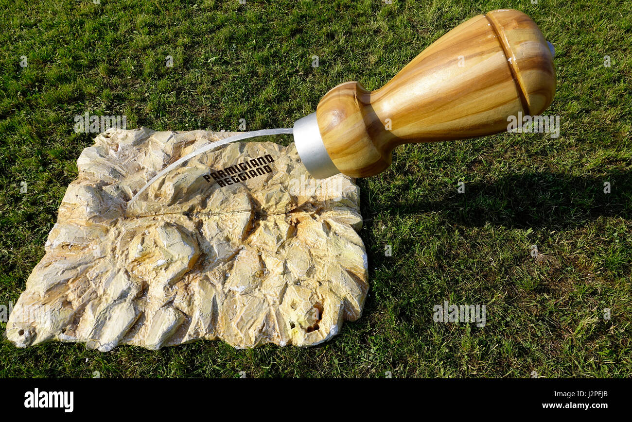 Cheese knife stuck in chunk of Parmaesan cheese Stock Photo