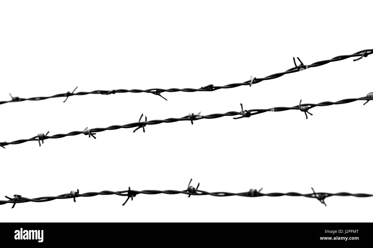 barbed wire isolated Stock Photo - Alamy