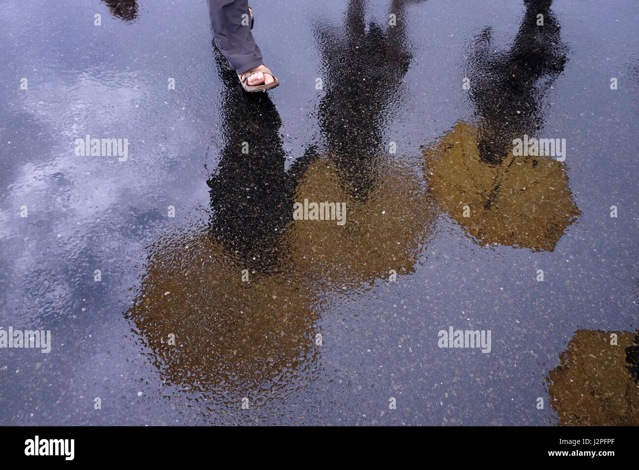 Pedestrians walking with umbrellas in a rainy day Stock Photo - Alamy