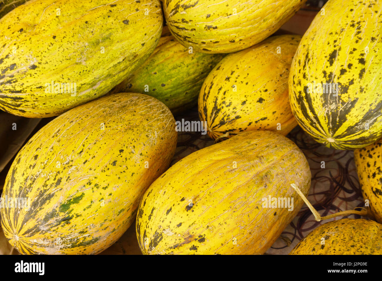 Melons on market Stock Photo Alamy
