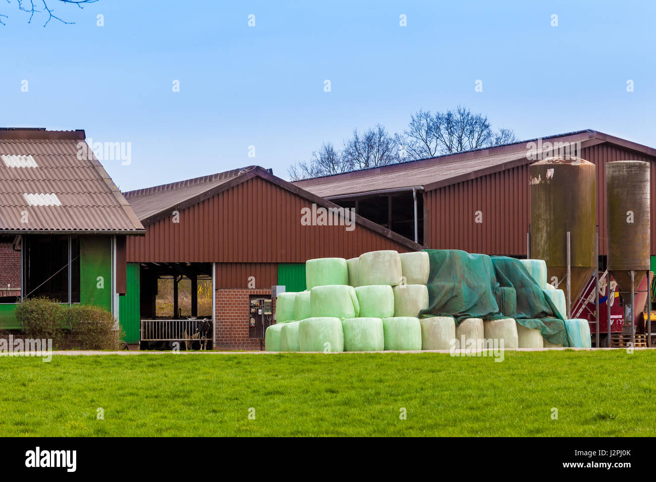 Dairy Farm. farm buildings Stock Photo Alamy