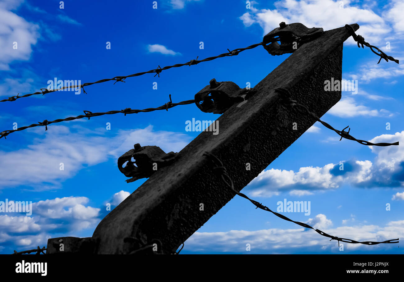 Barbed wire on blue sky background Stock Photo - Alamy