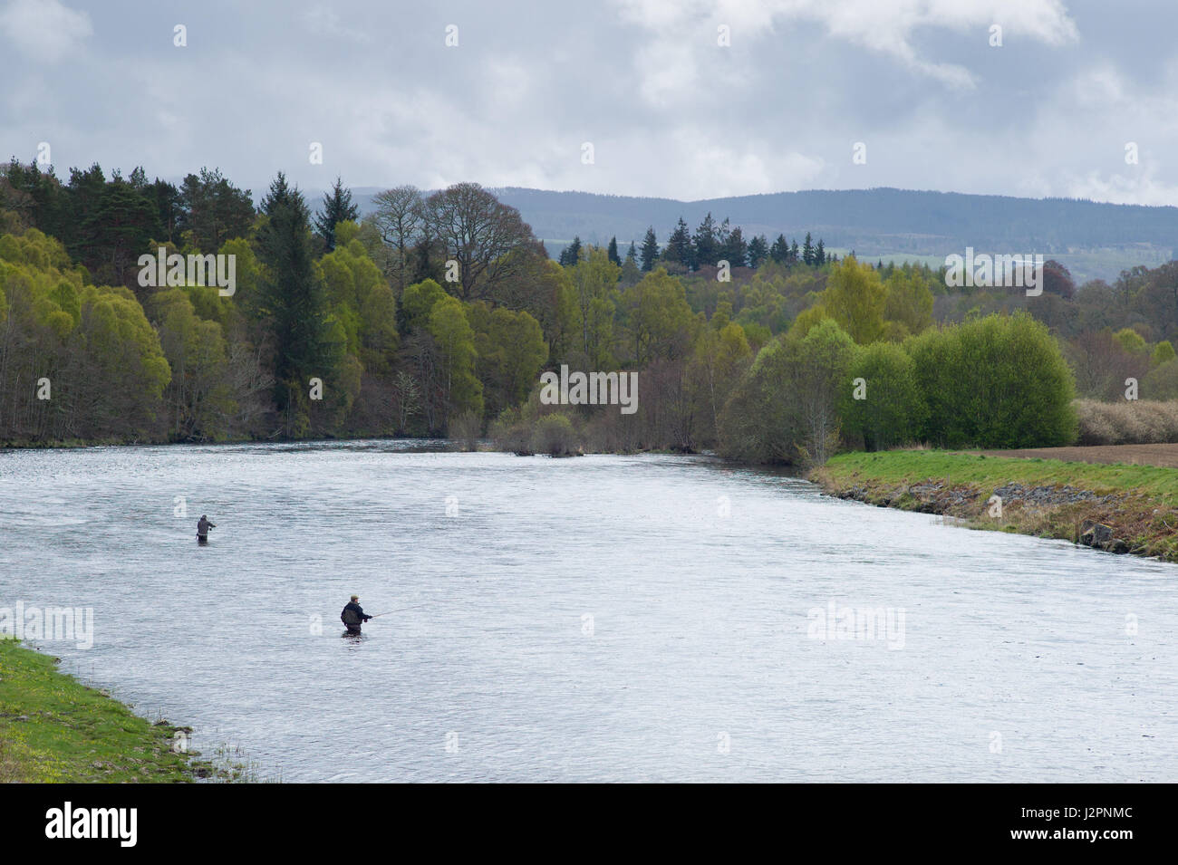 River Beauly Fishing Image